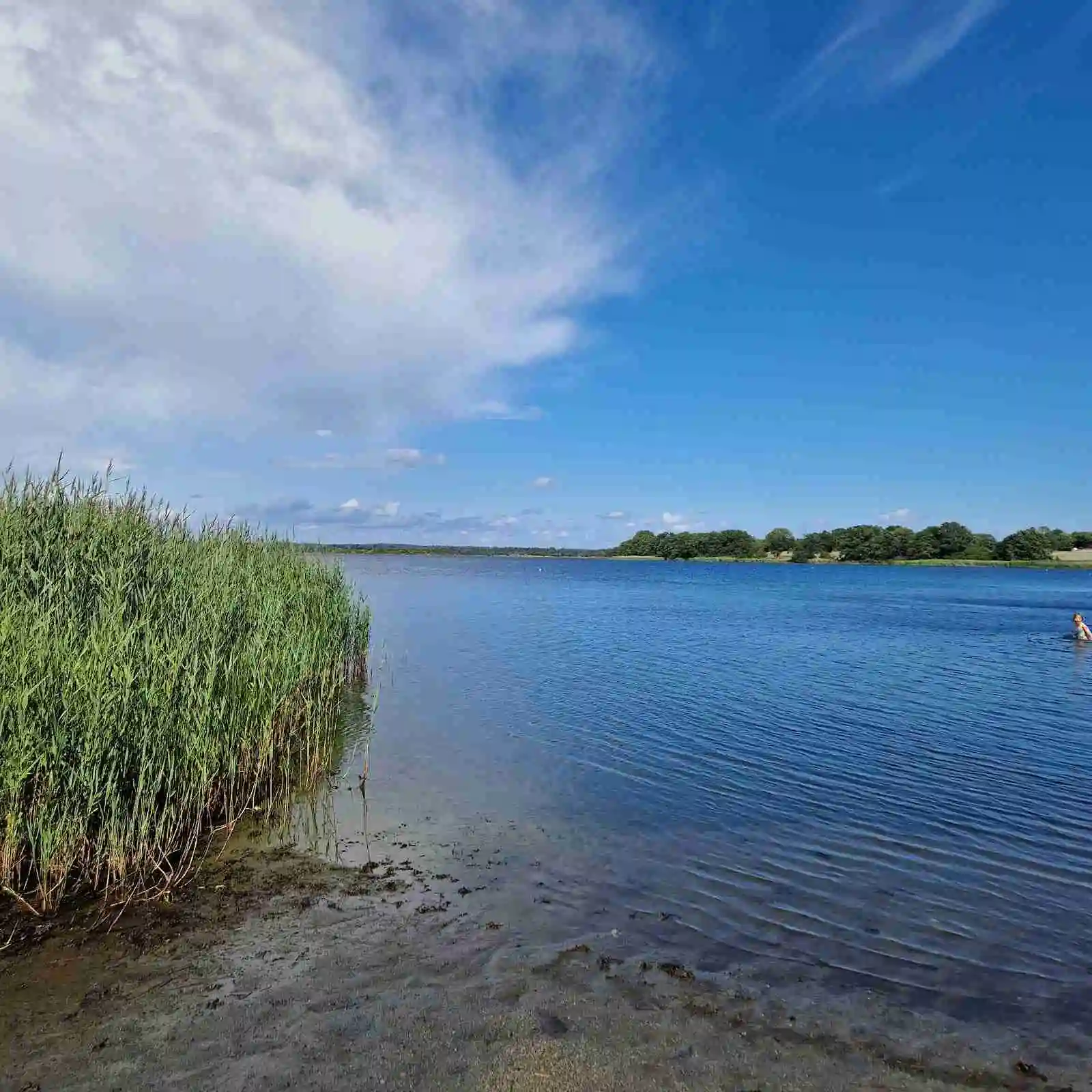 En vy över blått vatten med en horisontlinje i fjärran, omgivet av kustnära våtmarker, vid Ronneby Havscamping.
