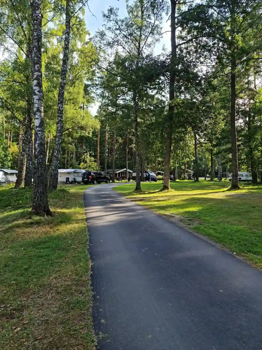 En grön campingplats vid en väg, omgiven av träd och gräs, med parkeringsutrymme i skuggan.
