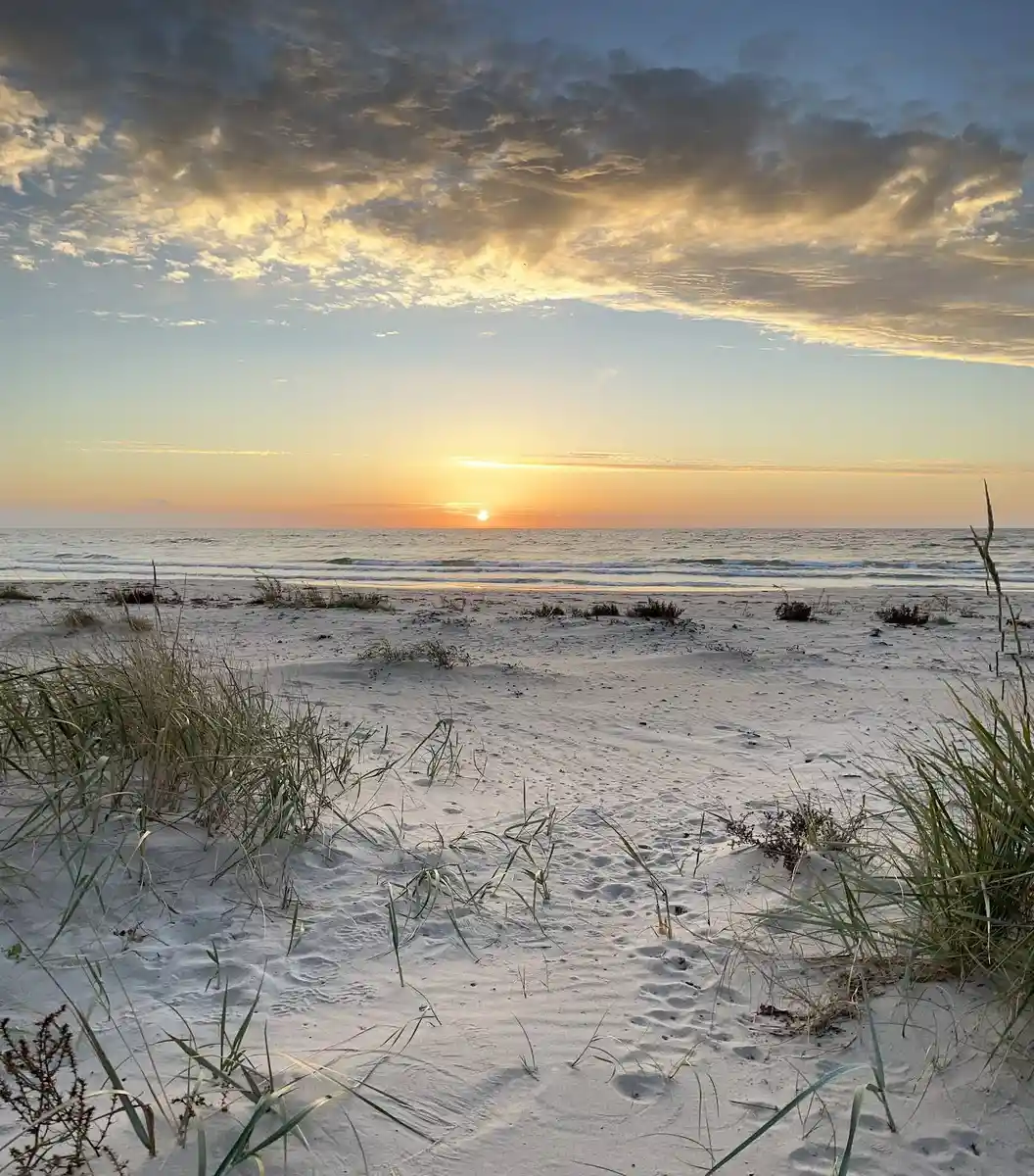 En vacker strand vid Borrbystrand camping med en vidsträckt horisont, där solen går ner och himlen är målad i mjuka nyanser av solnedgången.
