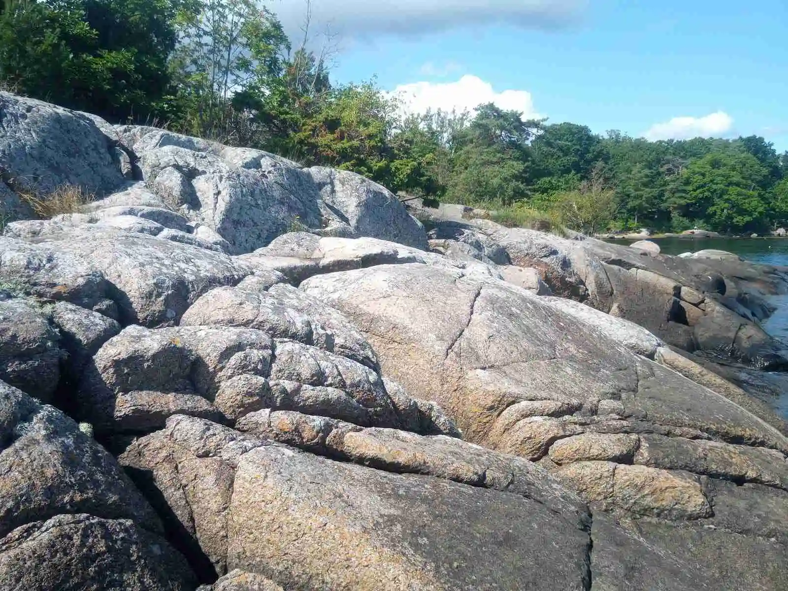 En kustnära plats vid My Camping Tredenborg med stenar och klippformationer som sträcker sig ner i vattnet, omgivna av naturliga och geologiska inslag.