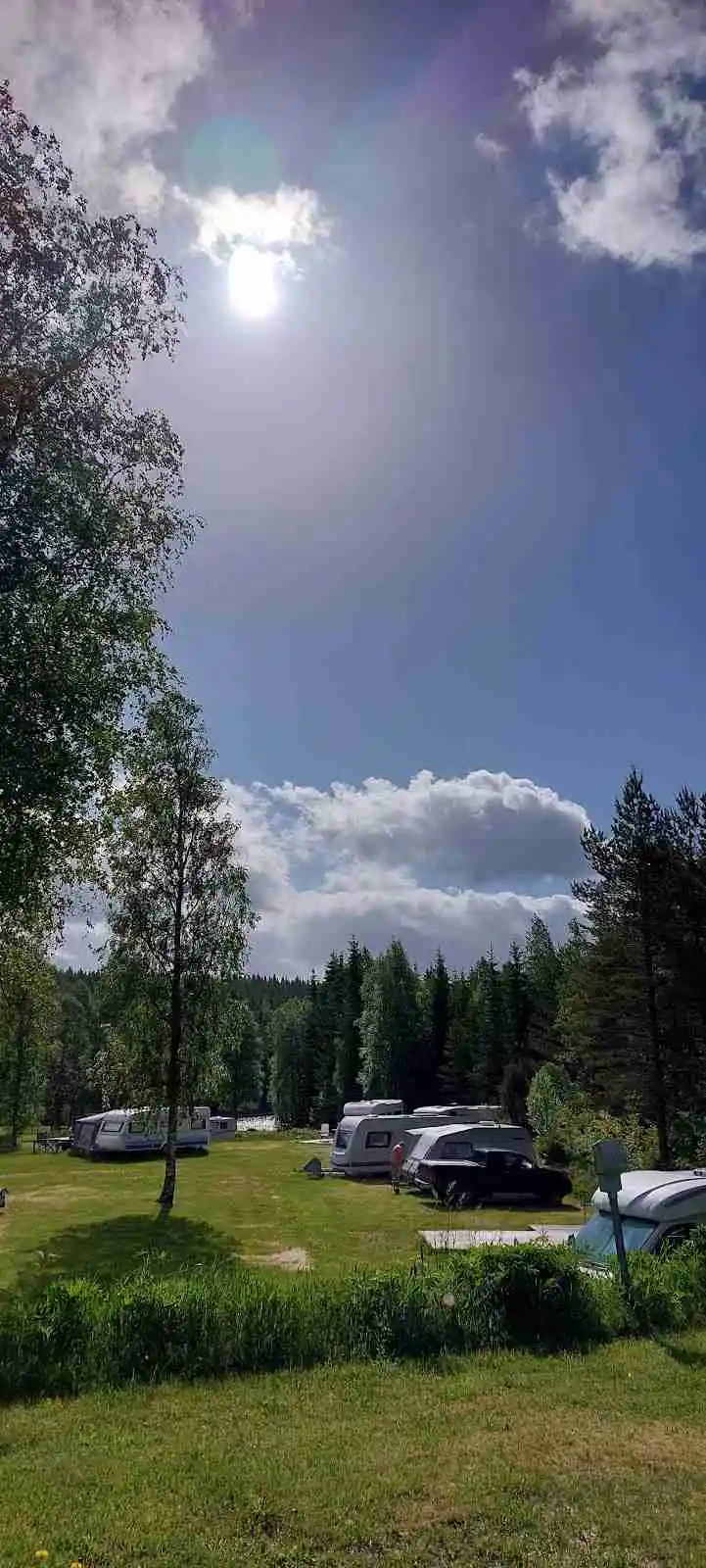 En grönskande campingplats i Sandviken med träd, gräs och öppna ytor, omgiven av naturlandskap.