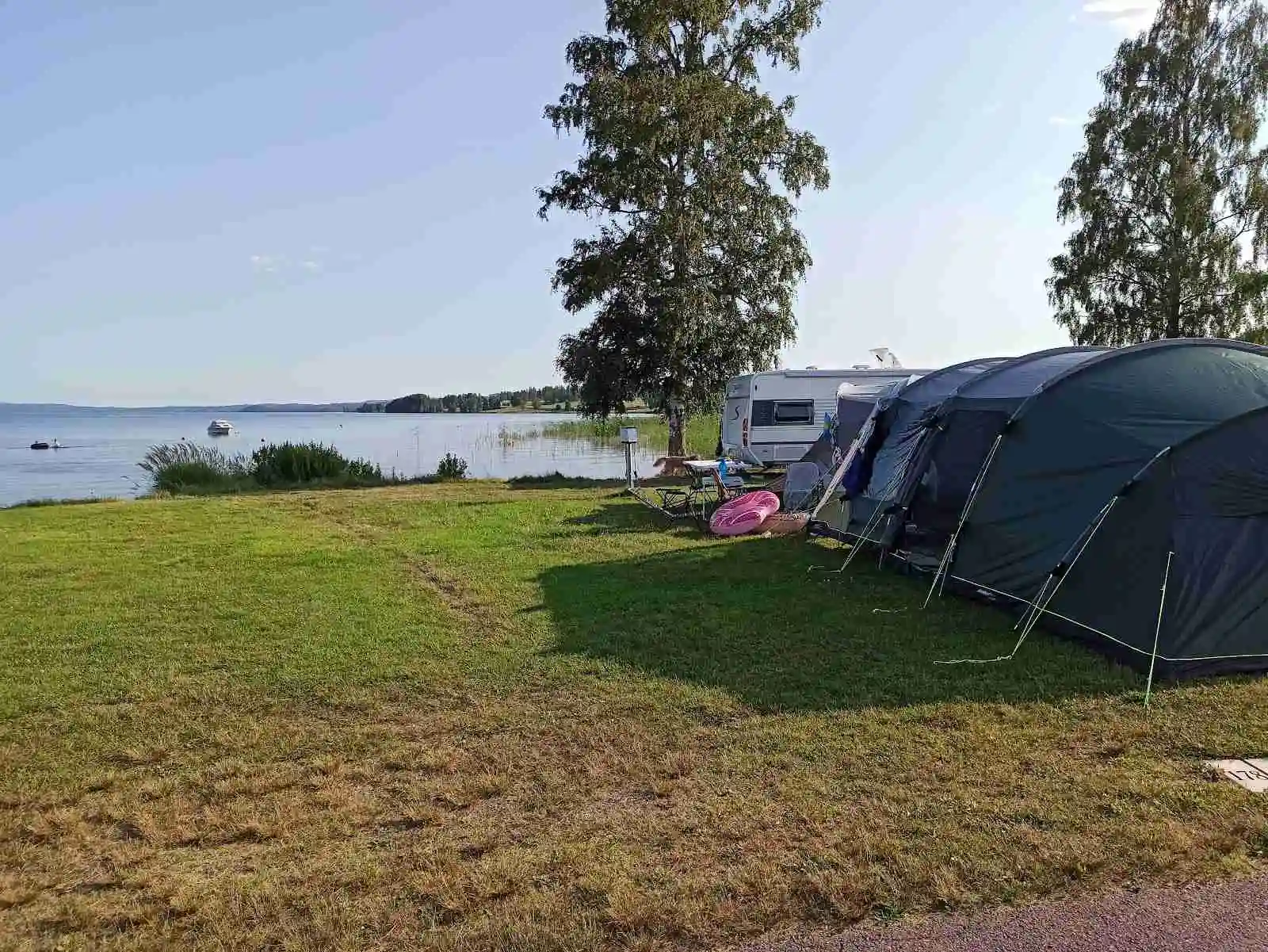 En solig dag på Sunne Camping och Sommarland, nära en sjö. Flera tält är uppställda längs strandkanten och en lugn vik syns i bakgrunden, omgiven av grönskande landskap.