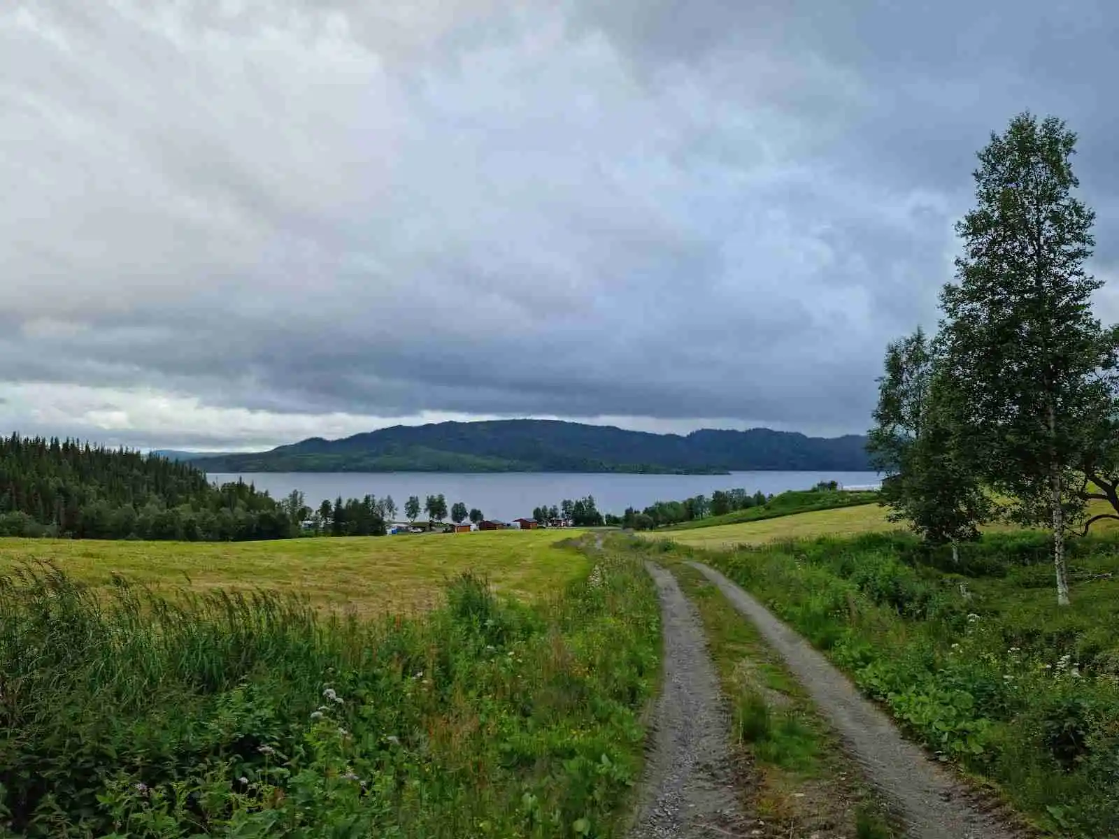En grönskande äng med blå himmel och moln i bakgrunden, omgiven av kullar och frodig vegetation vid Lia Ranch Vildmarkscamping.