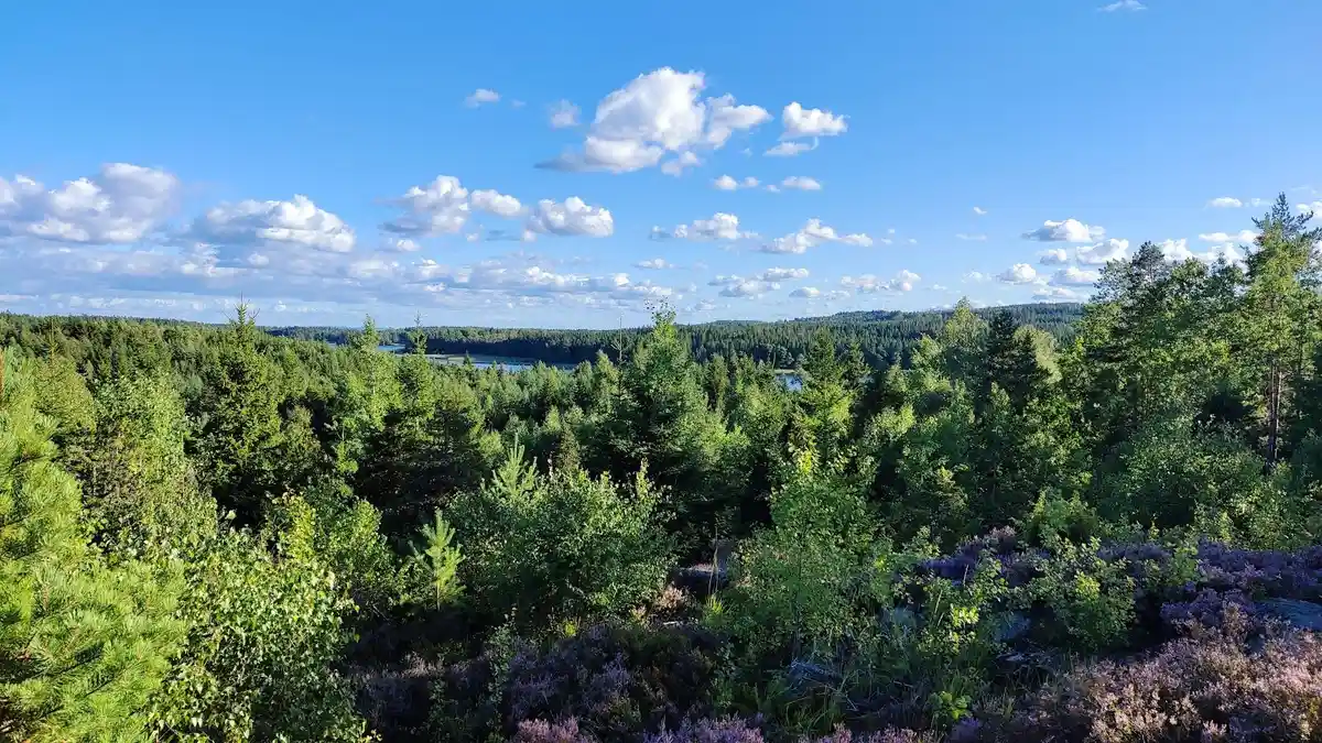 En naturskön vy över Stigmansgården i Tiveden, med blå himmel och vitnande moln ovanför en tät skog av gröna träd och buskar.