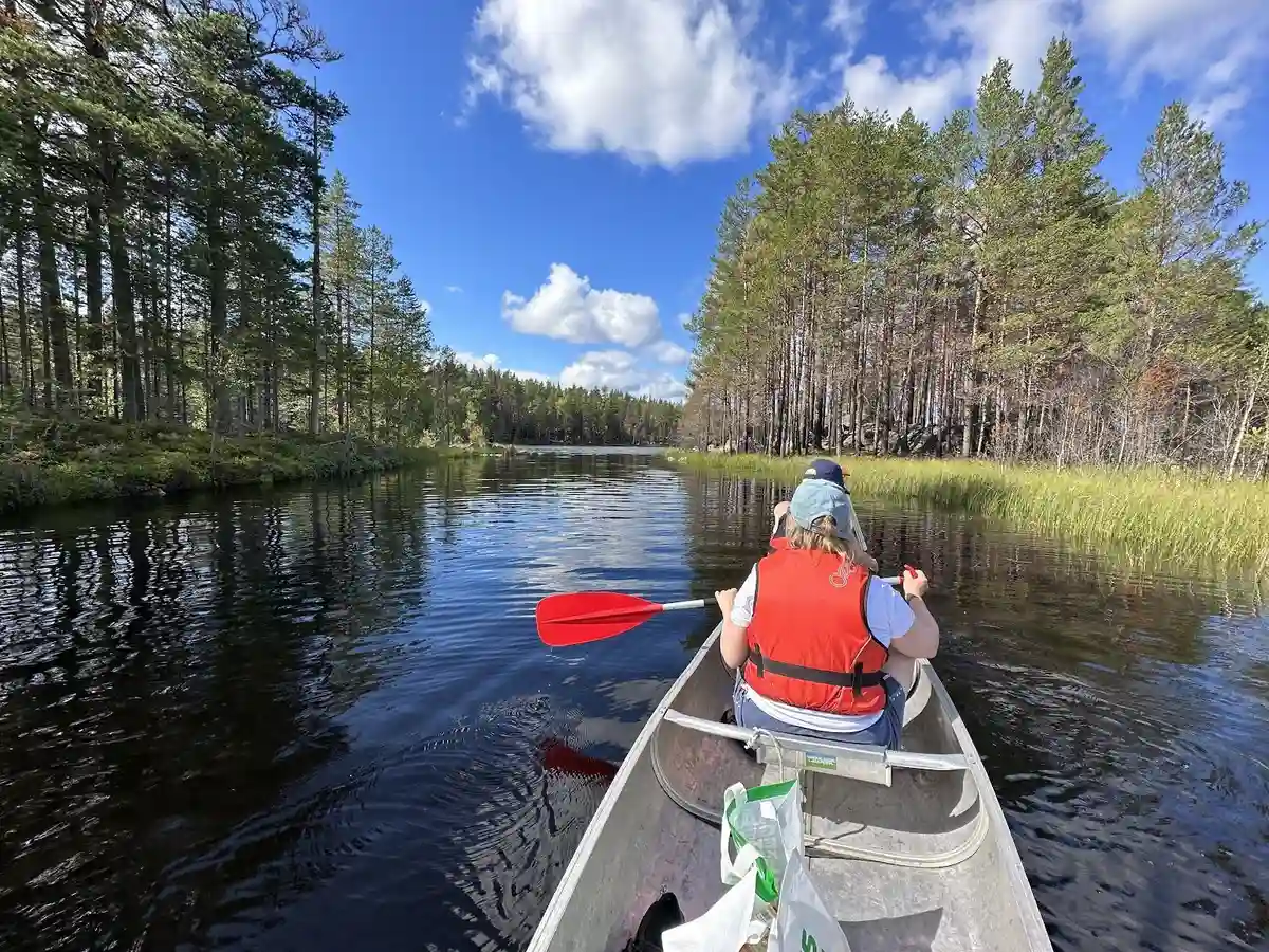 En grupp kanoter ligger uppdragna på stranden vid en lugn sjö, omgiven av grönskande skog.