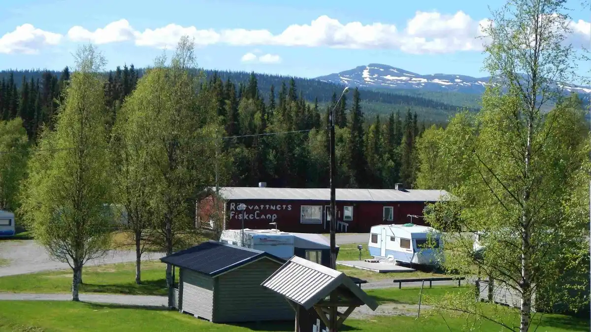 Bild av ett naturskönt landskap vid Rörvattnets Fiskecamp, med gräsmark och träd i förgrunden, en stuga i mitten och tät skog i bakgrunden.