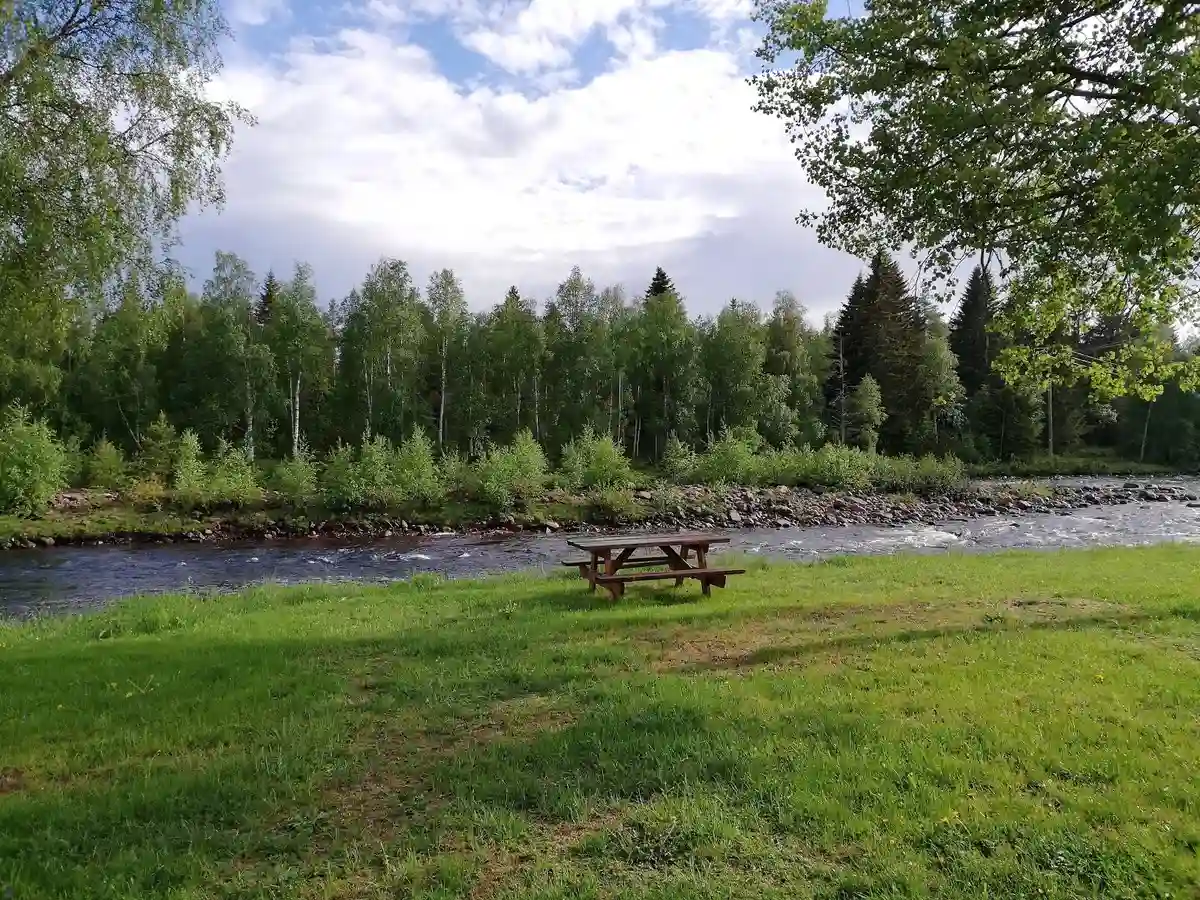 En ström rinner genom ett naturskönt landskap med frodig grönska och träd vid Lillhärdals camping.