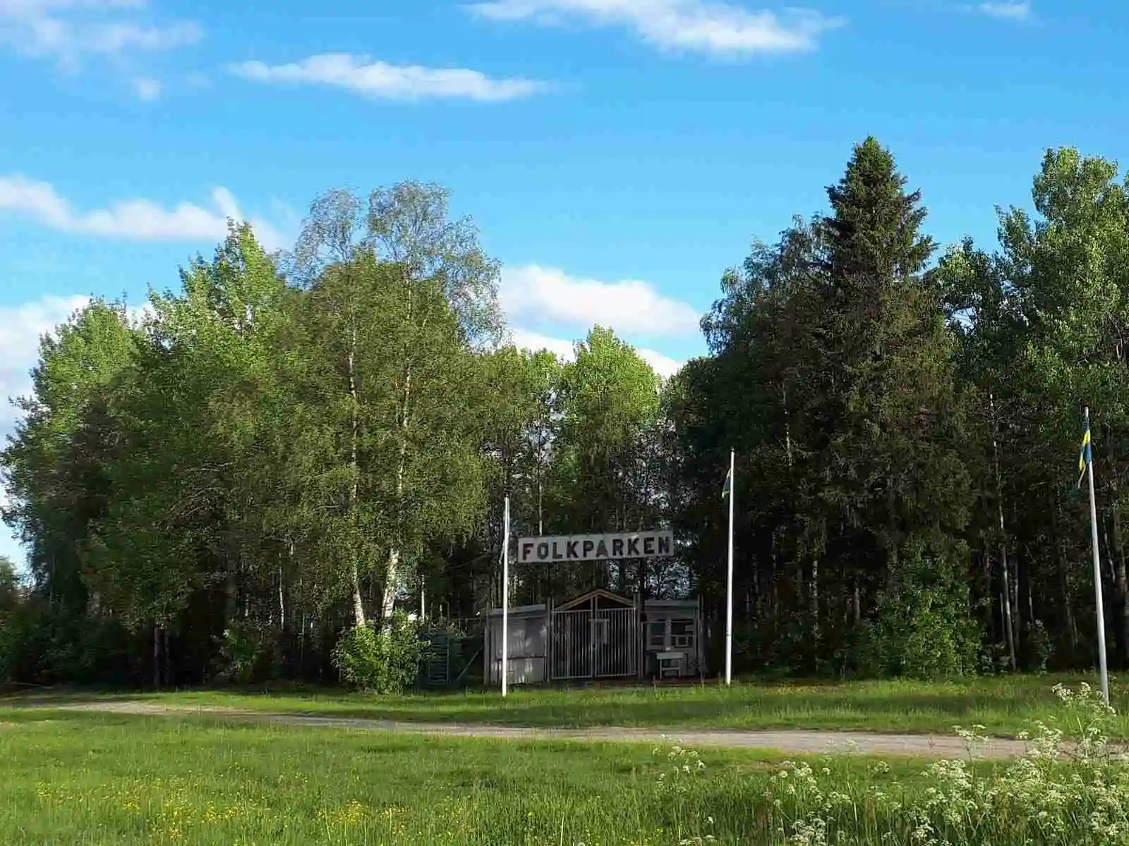 En grönskande campingplats i Hede med träd och gräs, omgiven av naturmiljö.
