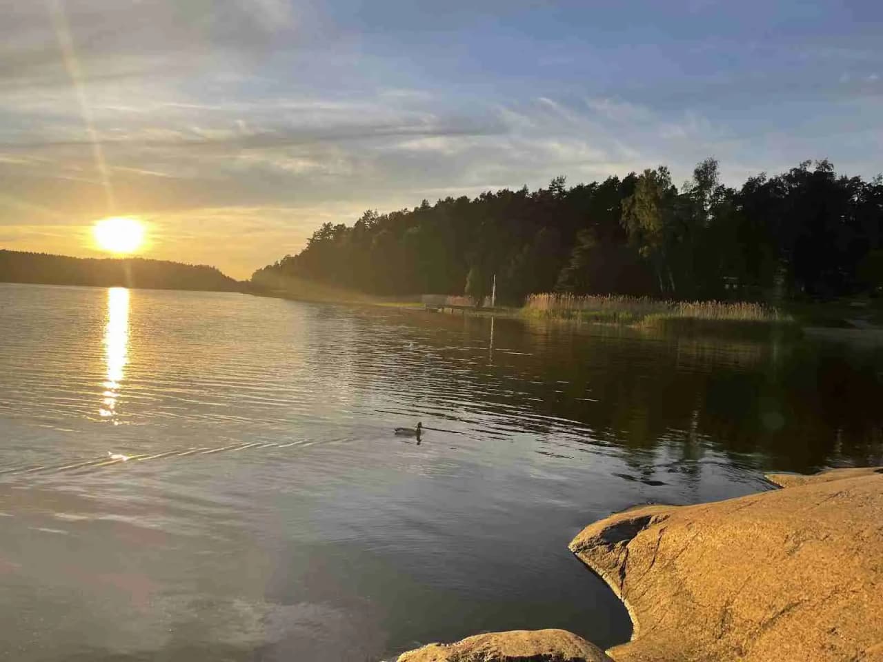 En lugn kvällsscen vid Waxholms camping med stilla vatten som speglar den skymmande himlen, omgivet av grönska och natur.