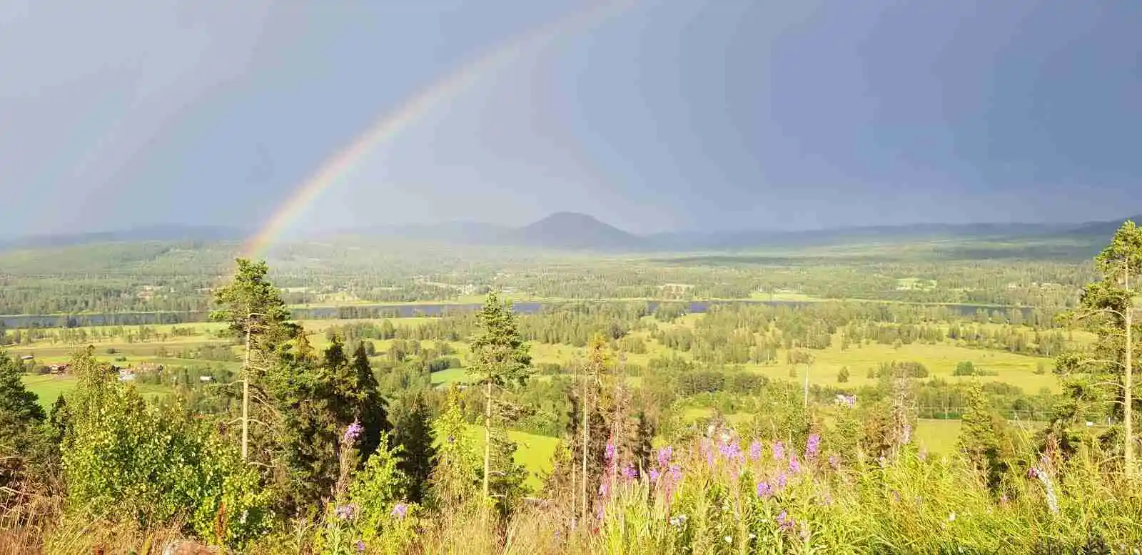 En färgglad regnbåge sträcker sig över det frodiga gröna landskapet vid Järvsö Bergscamping, med böljande kullar och spridda moln i bakgrunden.
