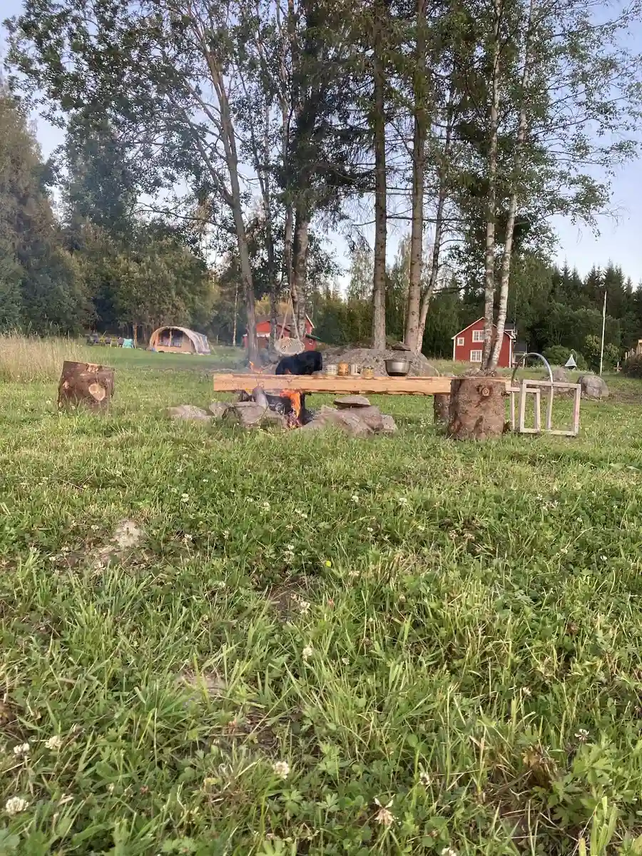 En grönskande äng med olika gräsorter, omgiven av en naturlig landskapsmiljö som ger en lantlig och fridfull atmosfär. Perfekt för besökare på pionjärgården som söker en stunds avkoppling i naturen.