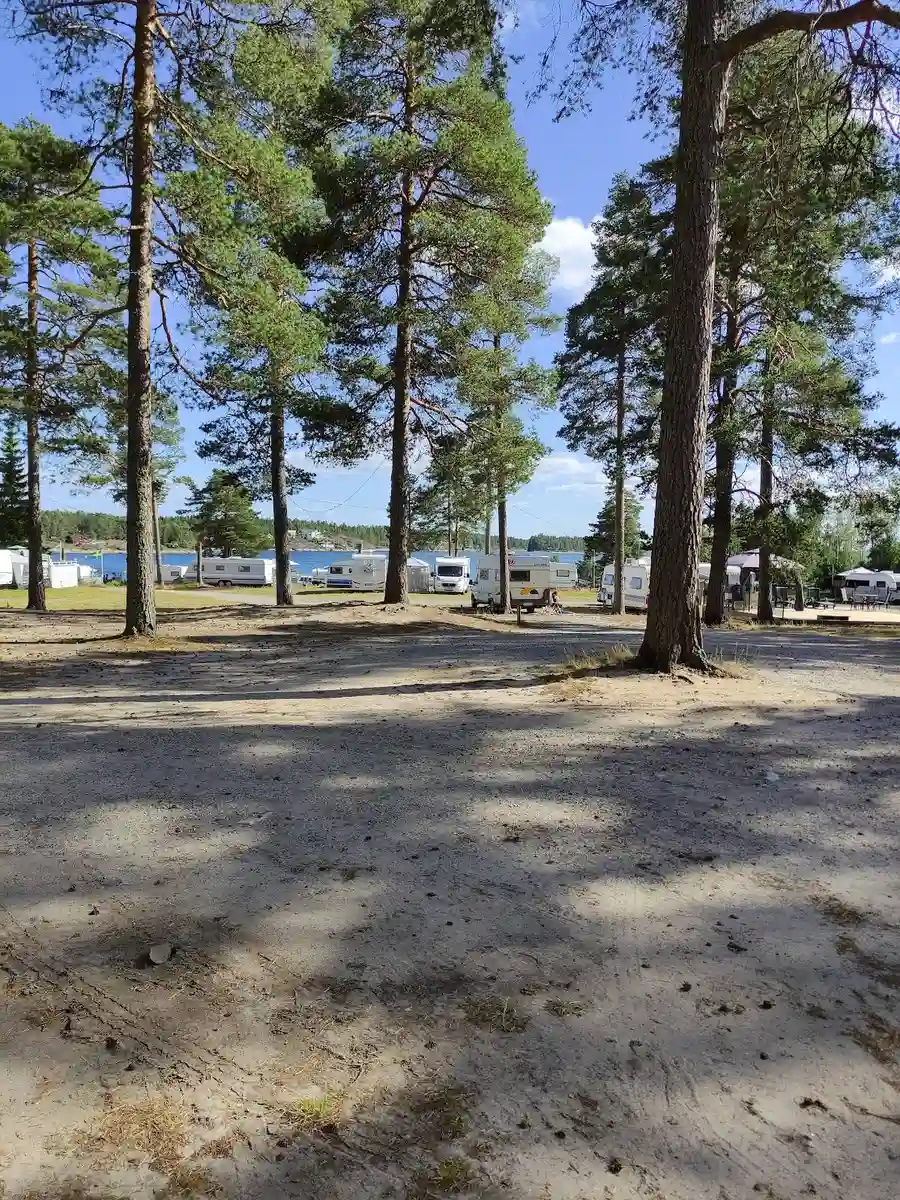 En solig dag vid Ava havsbad och camping. Man ser en sandstrand med tallar som ger skugga. I bakgrunden sträcker sig stranden vidare längs kusten, kantad av frodig grönska.