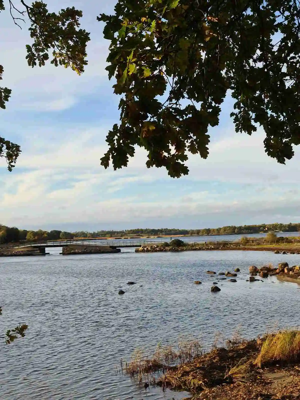 Morgonljus över en naturskön vy vid Ronneby Havscamping, med en spegelblank vattenyta omgiven av grönskande strandlinje och en klar, blå himmel ovanför.