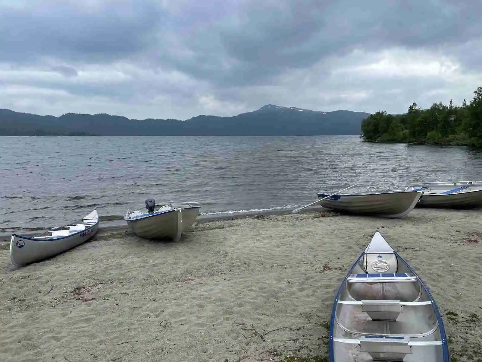 En kanot ligger vid en lugn sjö med grönskande stränder, redo för utforskning i naturen på Lia Ranch Vildmarkscamping.