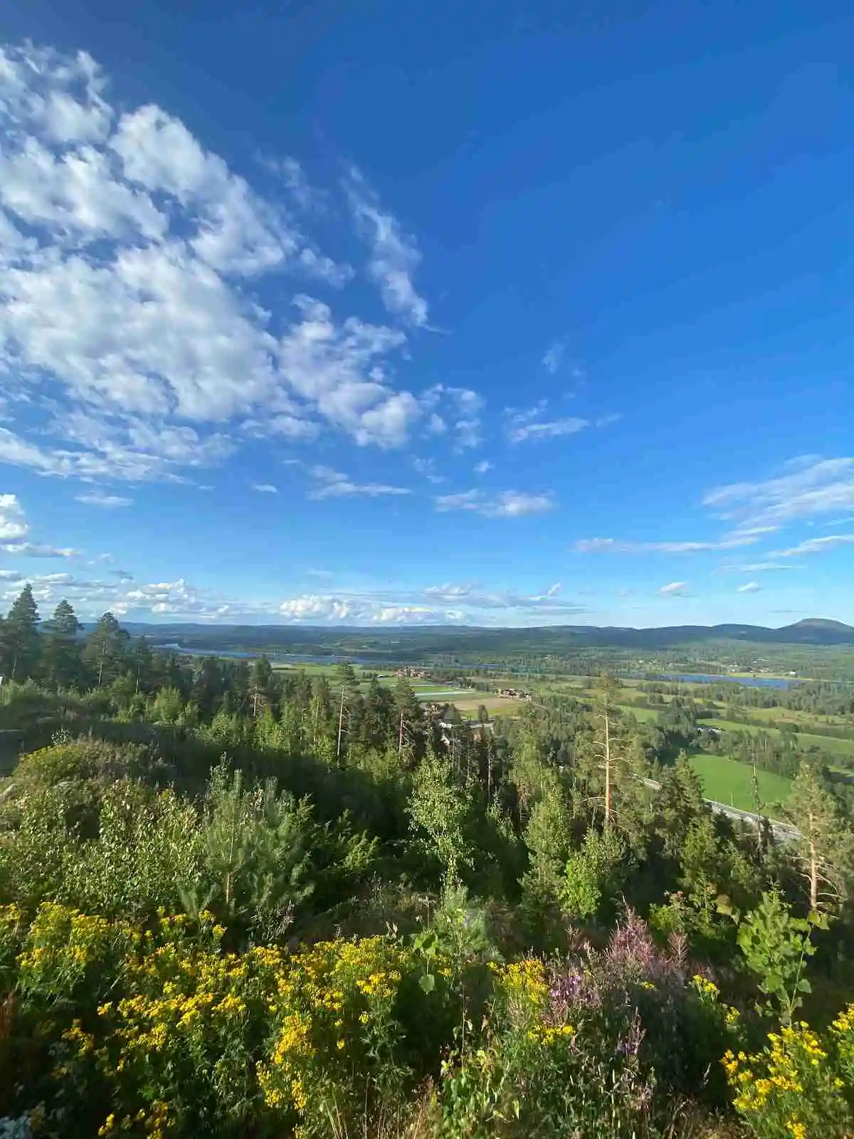 En vidsträckt vy av naturen vid Järvsö Bergscamping, med blå himmel och moln, gröna ängar och frodig växtlighet som sträcker sig mot horisonten.