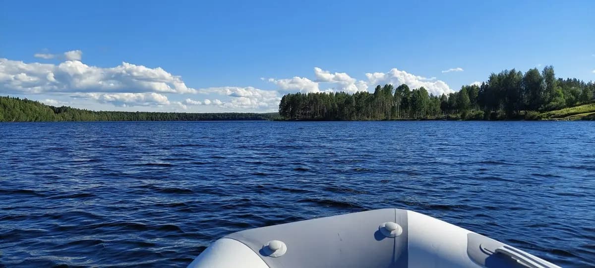 En klarblå flod rinner genom en naturskön miljö med frodigt grönska vid Vindelforsarnas camping, omgiven av lugna skogar och vidsträckt natur.