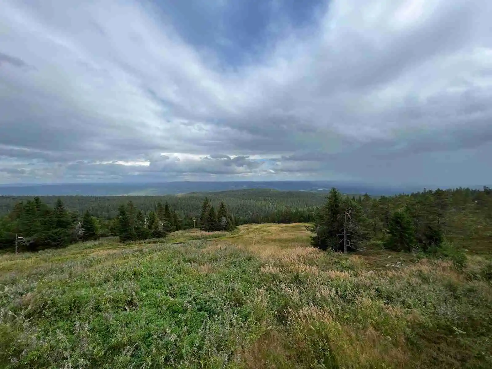 Klar himmel med några moln ovanför en grön äng, omgiven av frodig vegetation vid en campingplats i Fristad.