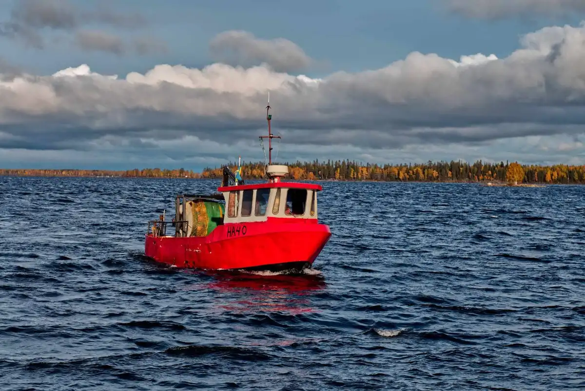 En båt ligger för ankar vid en stilla havsvik nära Seskarö havsbad & camping en solig dag. Vattnets yta glittrar i solen och horisonten kan ses i bakgrunden.