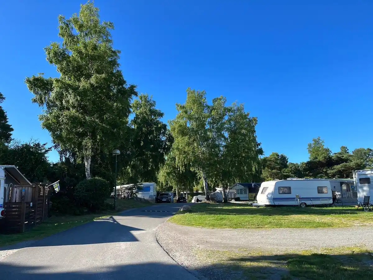 En campingplats med flera parkerade husvagnar och husbilar på en gräsyta omgiven av träd.