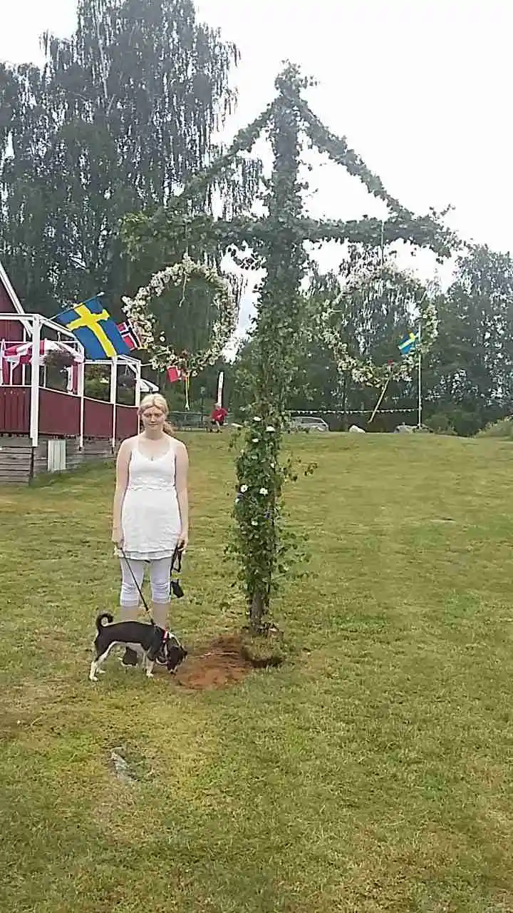 En campingplats med gröna gräsytor, där en flaggstång står mitt i naturen. Perfekt för avkoppling och semesterupplevelser.