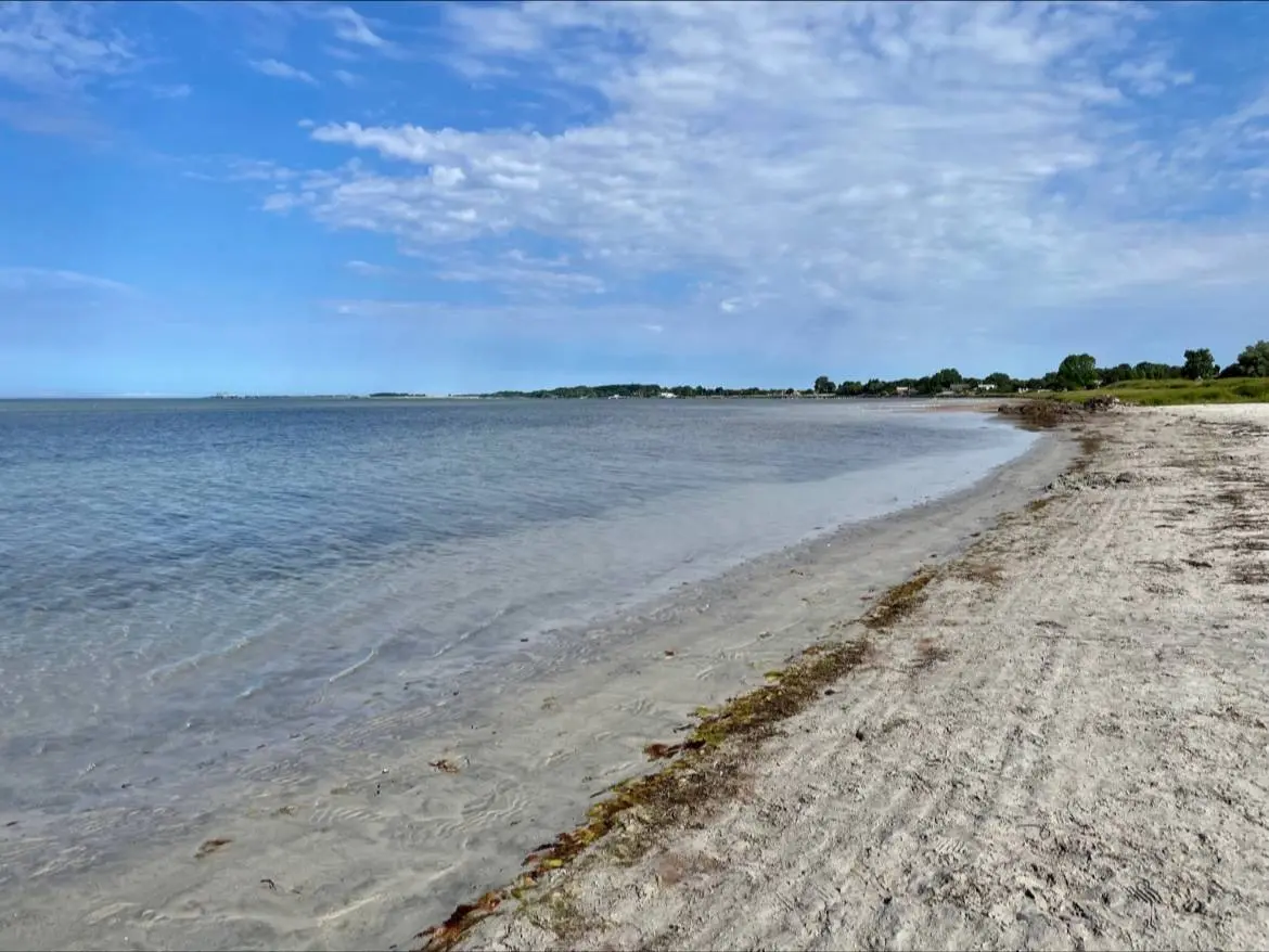 Vy över en sandstrand vid havet med blått vatten, horisonten i fjärran och kustlinjen som sträcker sig längs stranden vid Lomma Camping.