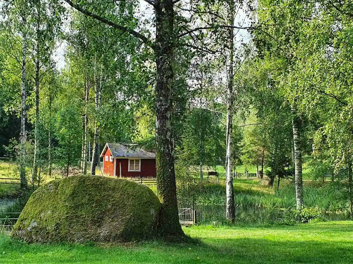 En grönskande campingplats omgiven av träd och buskage, med frodig gräsmark och grönska som skapar en naturskön miljö.