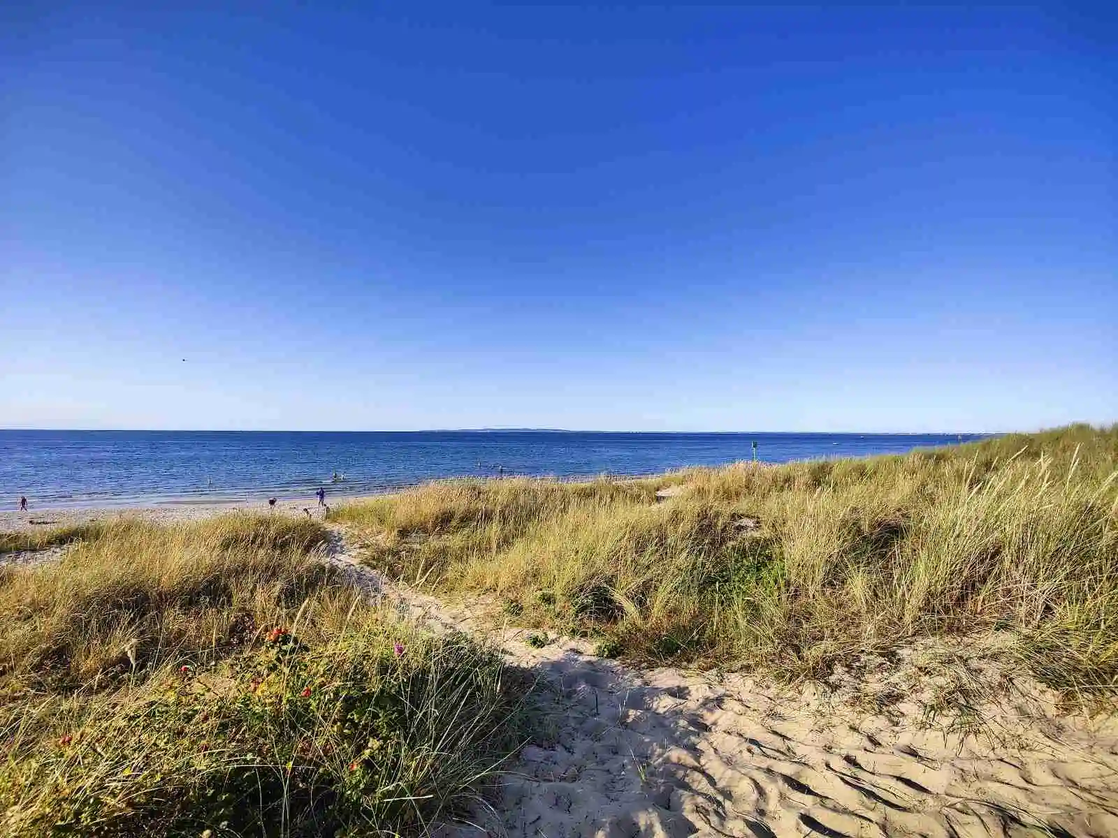En somrig kustvy vid Lerbergets camping med stranden i förgrunden, havet som sträcker sig mot horisonten och en klarblå himmel ovanför.