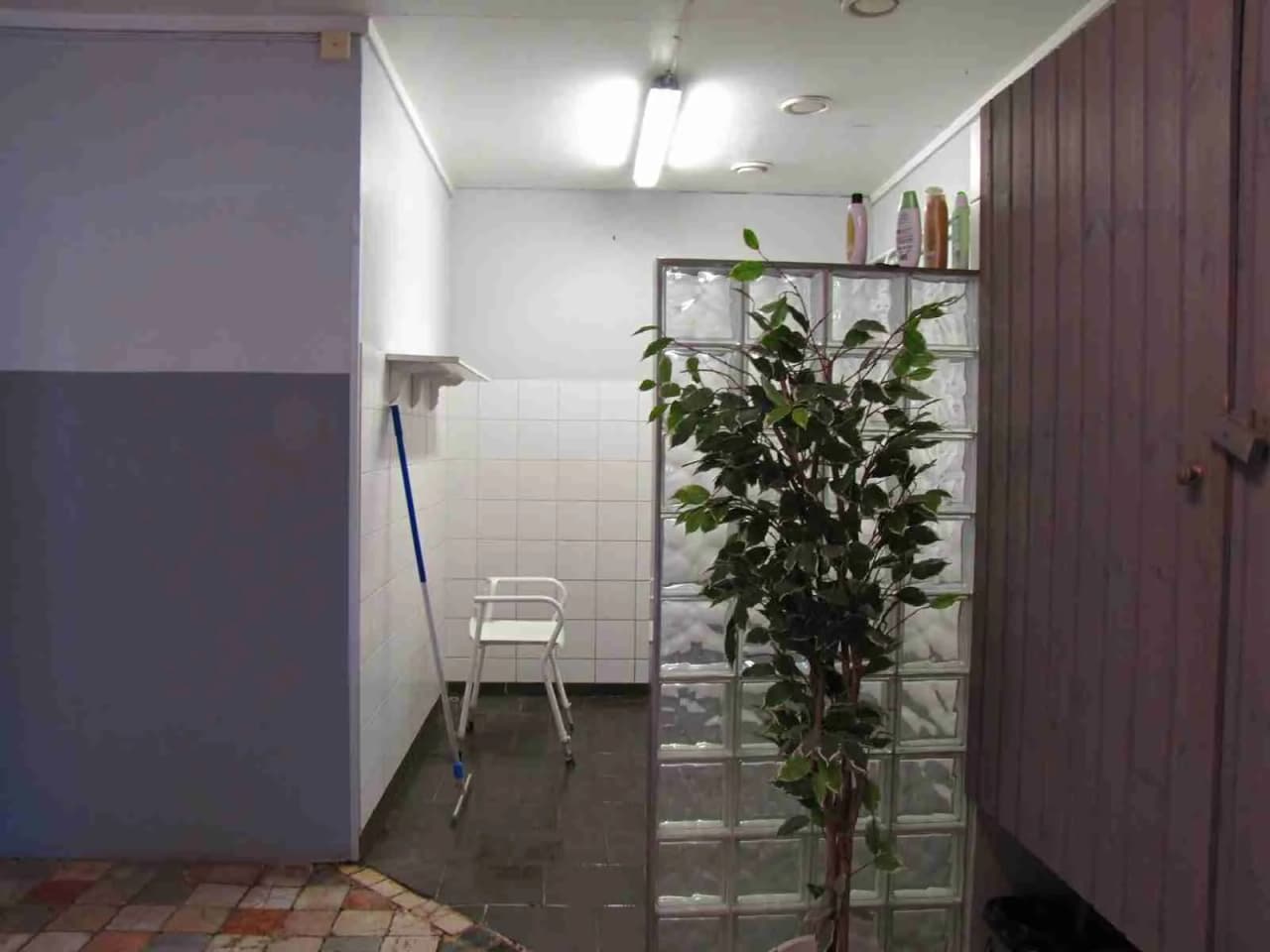 En ljus och inbjudande entré vid Arkösunds camping med stora glaspartier. En blomkruka med grön växt står på klinkergolv.