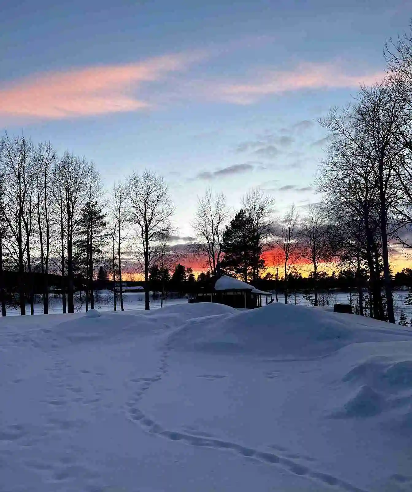 En vacker vinterdag vid Trollforsen camping & cottages med snötäckta trädgrenar under en klarblå himmel.