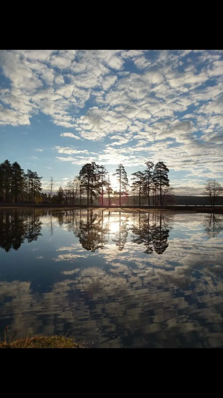 En vacker naturvy vid Malingsbo Camping, där en stilla sjö speglar den molntäcka himlen i skymningens ljus, omgiven av grönskande trädgrenar och naturskön miljö.