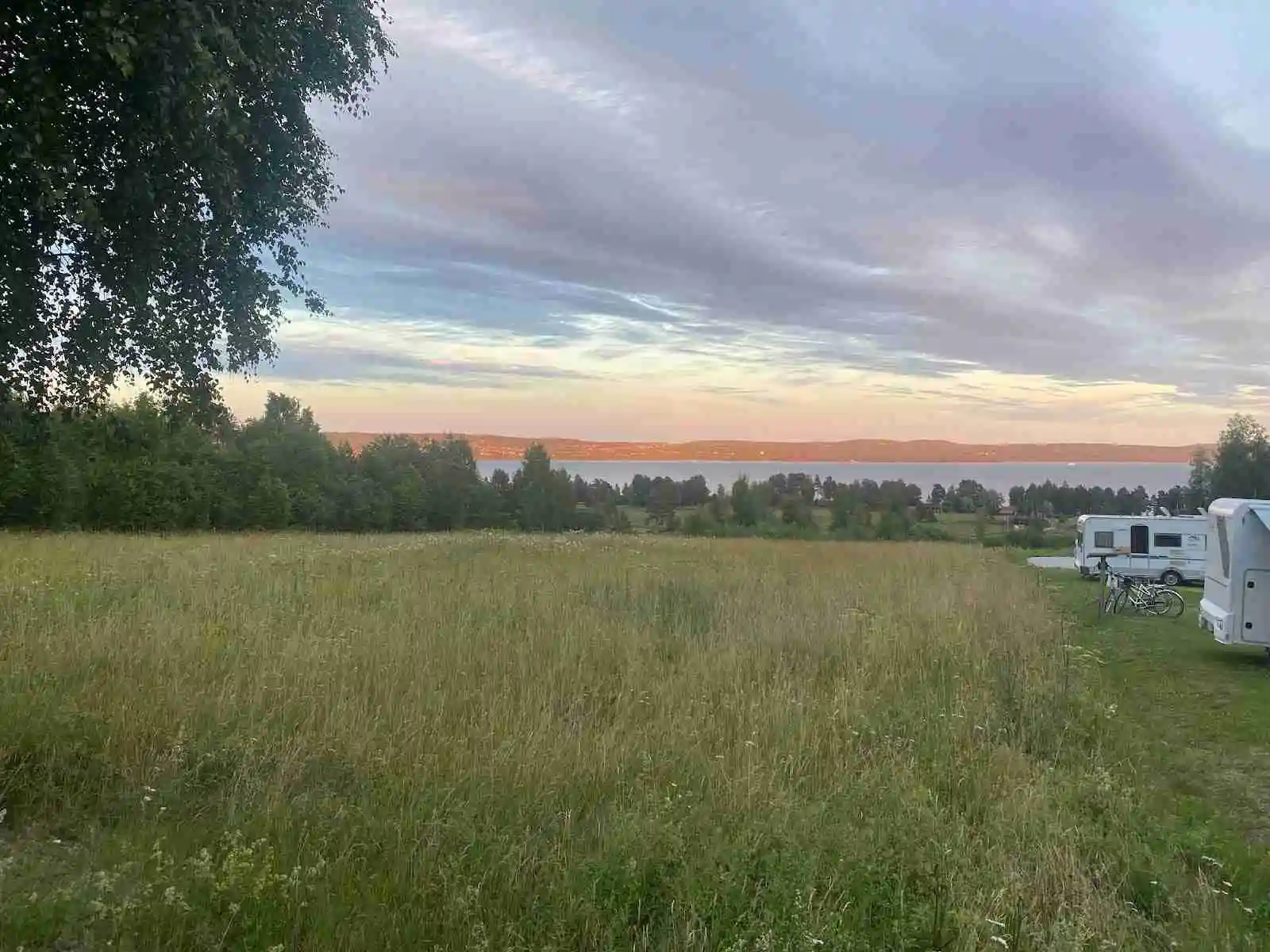 En vidsträckt äng under en klar himmel vid Vikarbygården, omgiven av idylliska fält och grönska.
