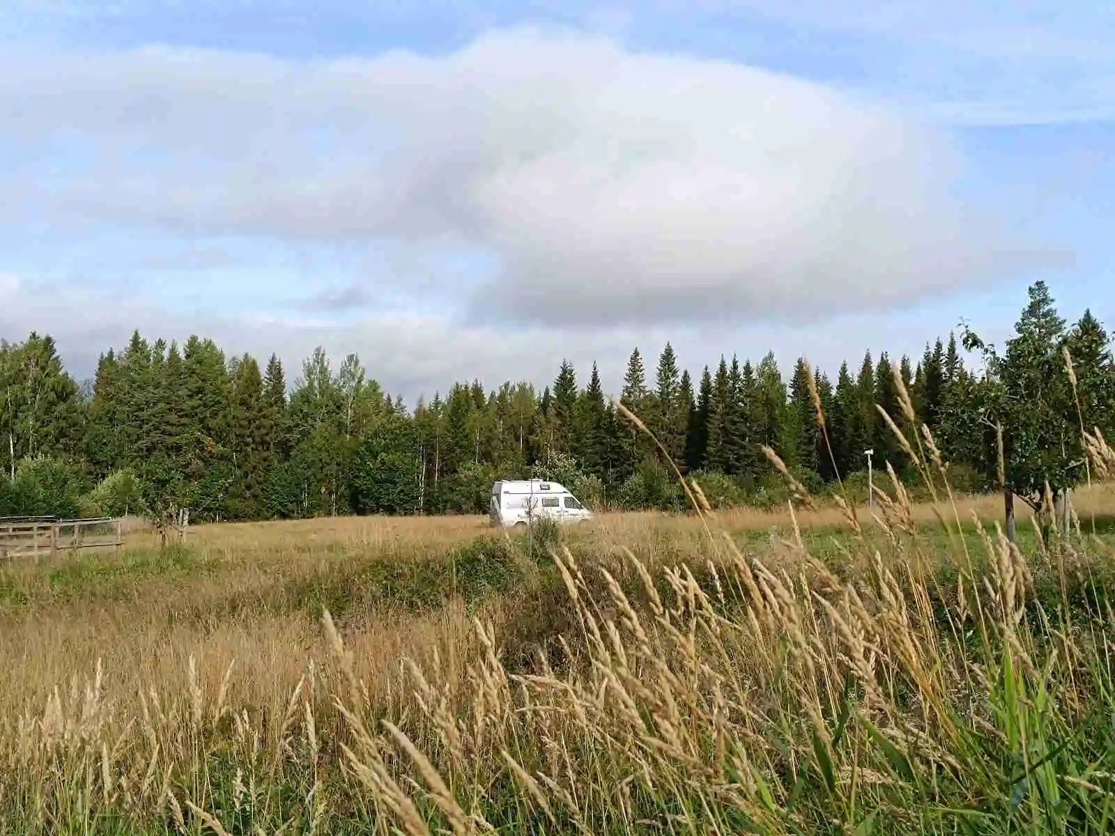 En vidsträckt äng med gräs och spridda växter under en halvklart molnig himmel vid Camp Route 45.