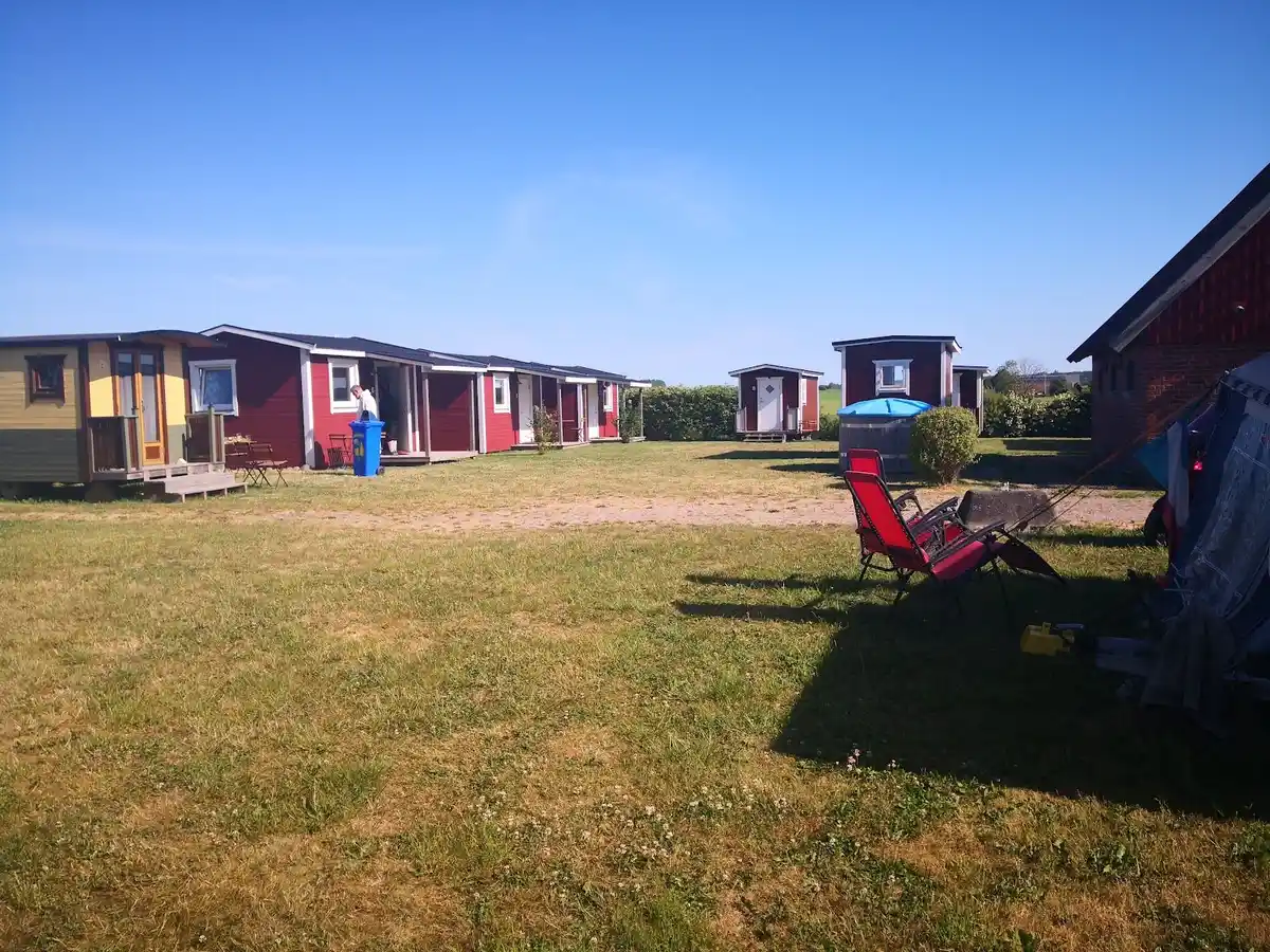 En vidsträckt äng på Hanksville farm med frodigt grönt gräs och en öppen, klarnande himmel i bakgrunden.