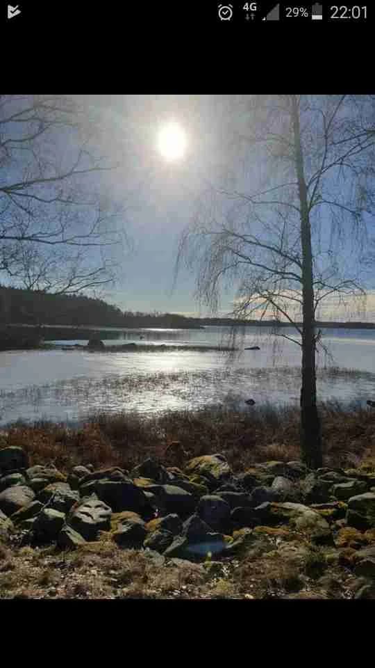 En stilla flod omgiven av grönska vid Linneryds camping, där skogens spegelbild reflekteras i vattnet under en klar himmel.