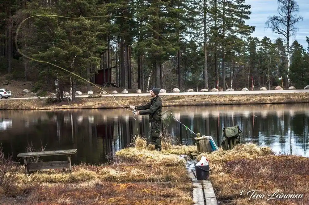 En person fiskar vid en sjö bredvid en grönskande skog på Malingsbo camping.