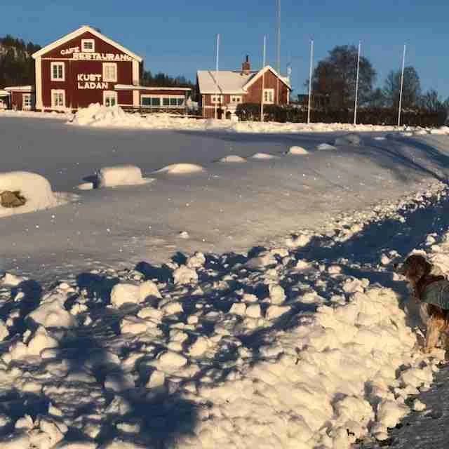 En snöig vinterdag vid Docksta vandrarhem & camping Kustladan, med en stuga omgiven av snö och is, belägen i en naturskön miljö som påminner om en skidort.