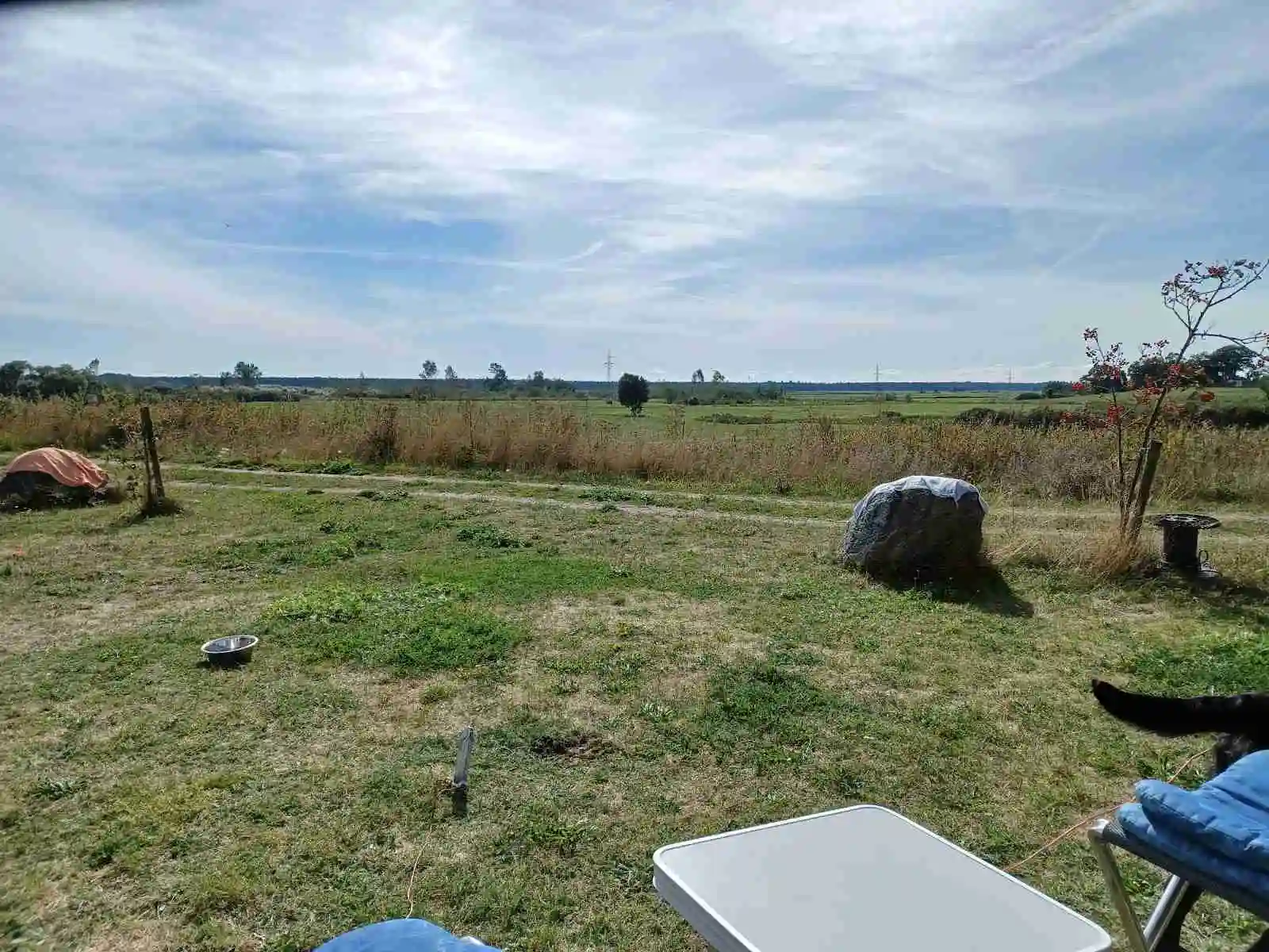 En vidsträckt grässlätt på Fredriksbergs kursgård-camping, med frodig äng och öppet landskap under klar himmel.
