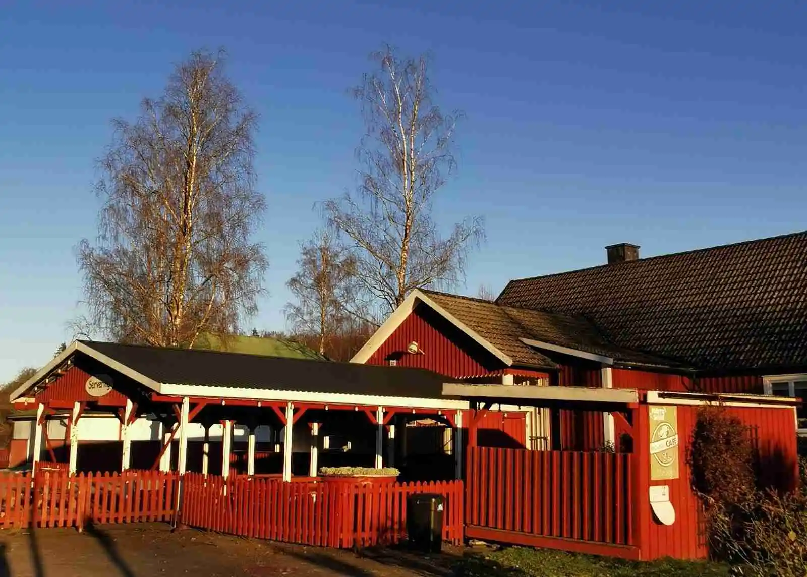 En stuga med träpanel och veranda omgiven av skuggade områden och en grönskande gård på Hätteboda vildmarkscamping.