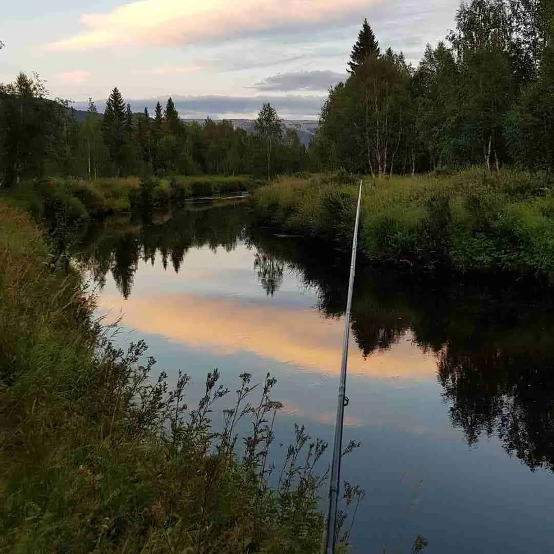 En naturskön vy över en vattendrag vid Vemdalens camping, omgiven av grönska och en klarblå himmel.