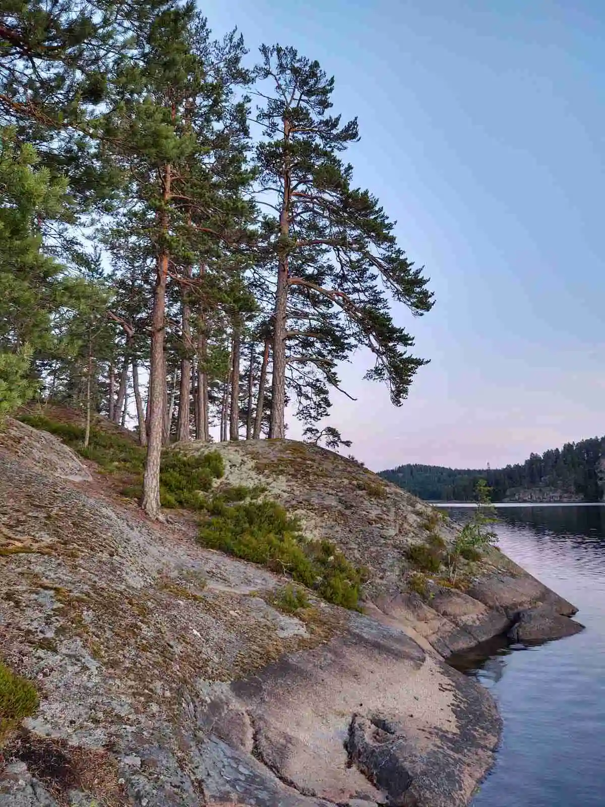 En stilla sjö omgiven av skog och klippor vid Pinnarp Camping, med en kustlinje täckt av lärk-och barrträd som speglas i det lugna vattnet.