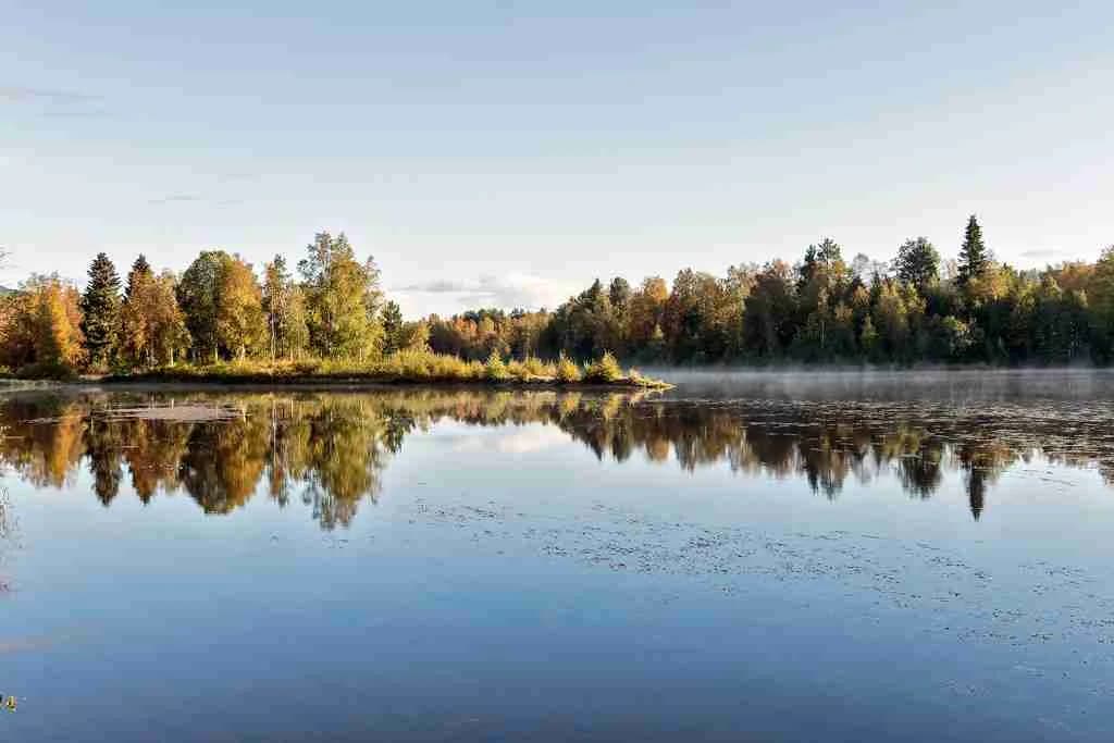 Vy över Hede Camping med klar blå himmel, omgiven av grönskande träd och ett rofyllt vattendrag.