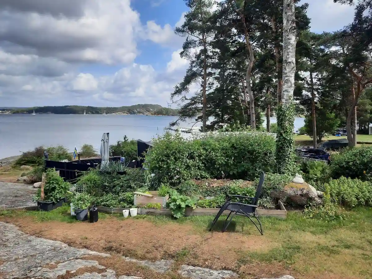 En naturskön kustlandskap vid Almöns bad & camping, med grönskande växtlighet och utsikt över havet och kusten.