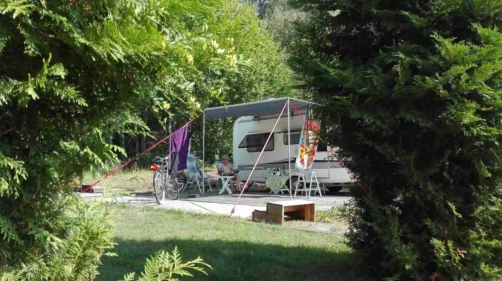 En grönskande campingplats vid Kapellskär med tält och husvagnar uppställda på gräsmattan. Tallar och andra barrträd ger skugga och en parkeringsplats syns i bakgrunden.