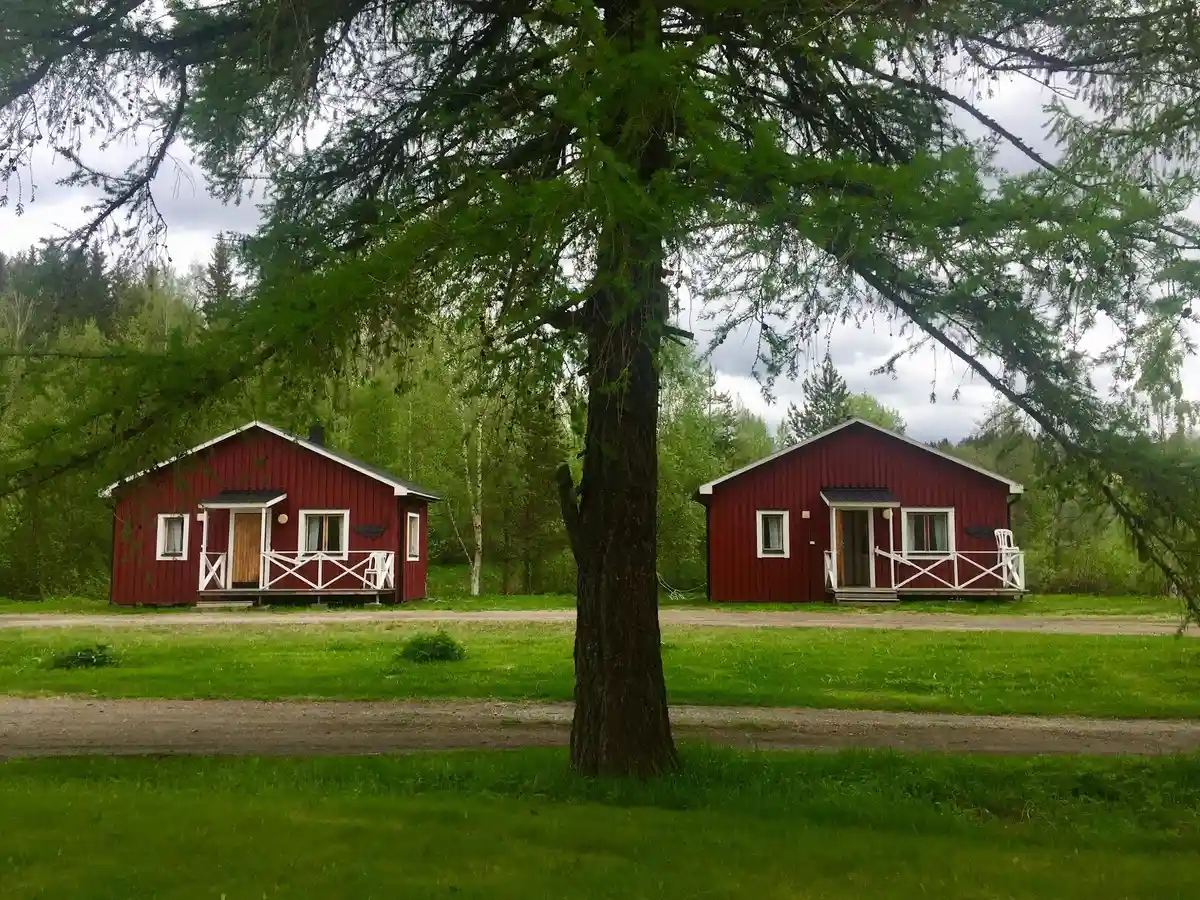 Bild av Norråkers camping visar en fridfull landskapsscen med grönskande gräs och träd. En mysig stuga är placerad på en rymlig gräsplan omgiven av betesmarker och lummig natur.