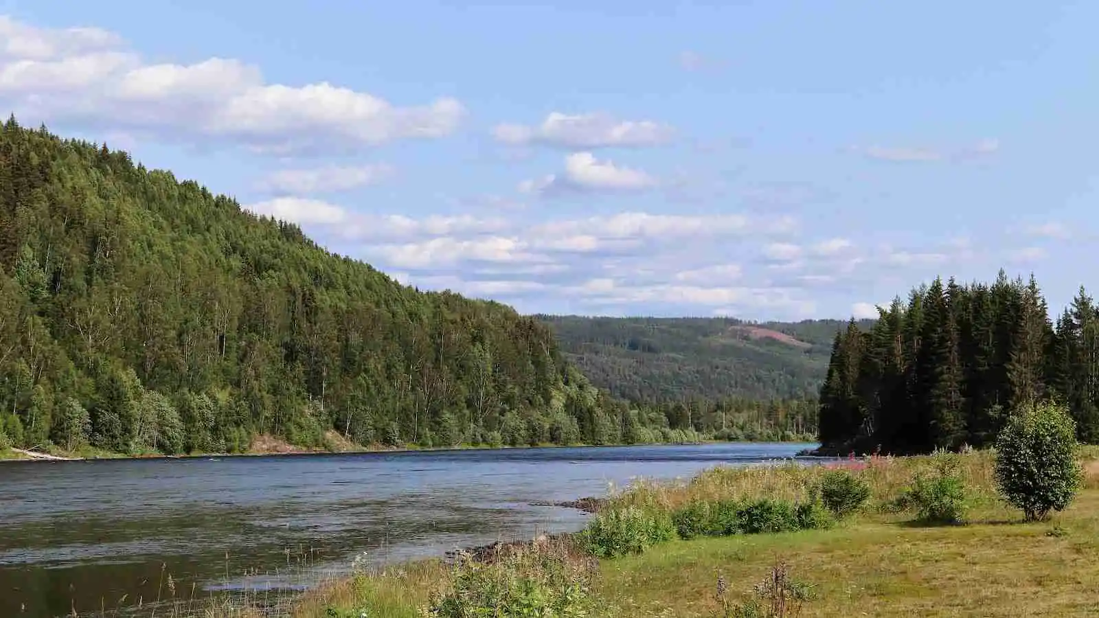 En fridfull sjö omgiven av frodig skog på Bråtens Camping, med klart vatten och grönskande träd i bakgrunden.