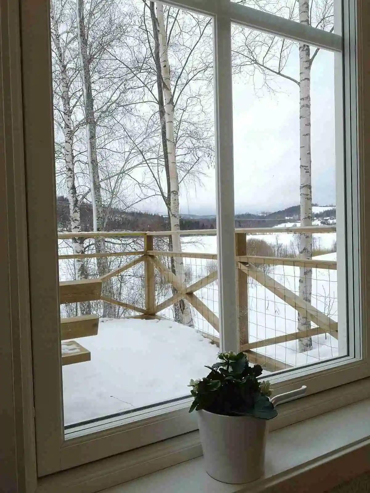 En vintrig campingplats vid Gällstasjön med snötäckta träden och marken som omger en lugn sjö.