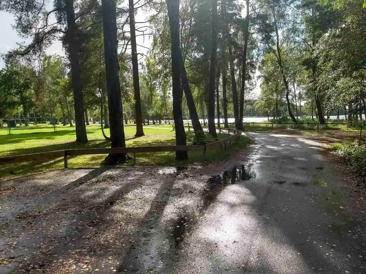 En vacker skogsdunge vid Luhrsjöbadens camping med trädstammar och skuggor, en grusad stig leder fram till en utomhusbänk i en fridfull parkmiljö.
