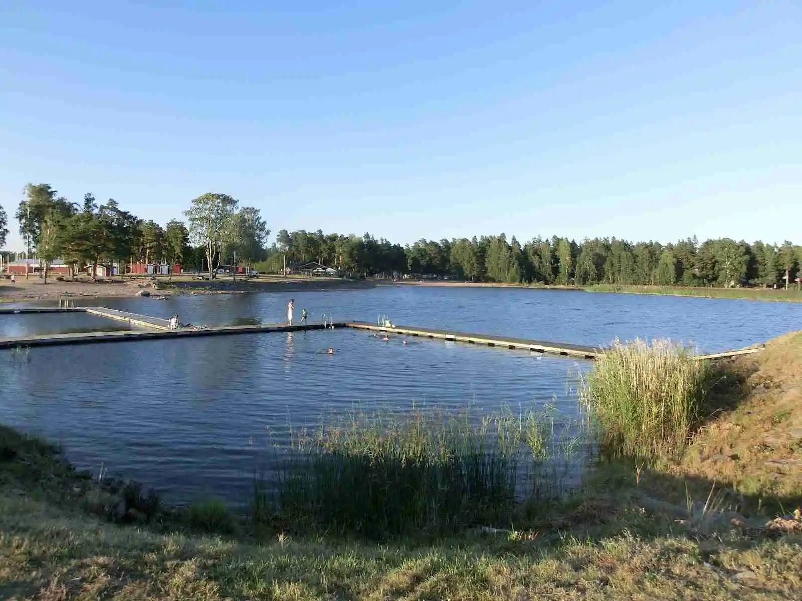 En lugn sjö omgiven av grönskande träd och frodiga växter vid Malexander camping, vilket ger en fridfull och naturskön vy.