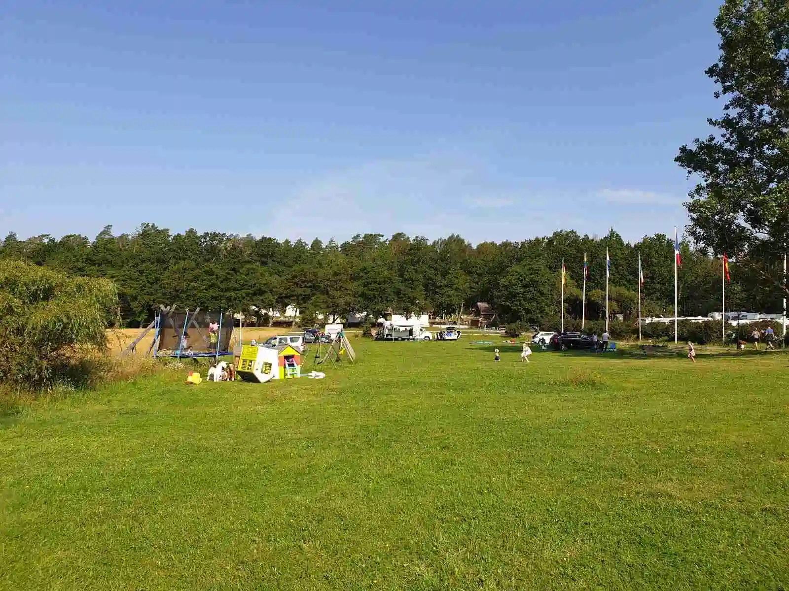 En öppen gräsyta vid Tanums camping och stugby, omgiven av frodiga ängar, perfekt för rekreation och camping.