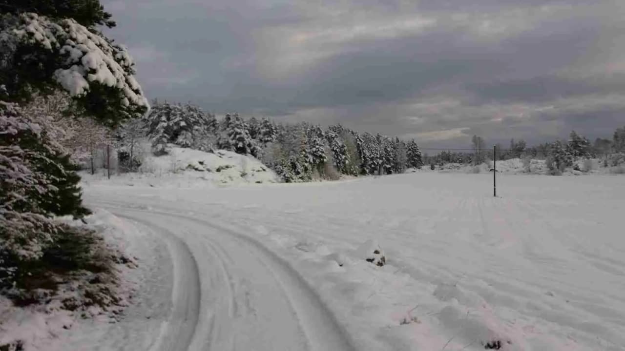 En snöig vinterdag vid Arkösunds camping, med snötäckta grenar och en isig terräng som sluttar mjukt ner för en pistliknande backe.